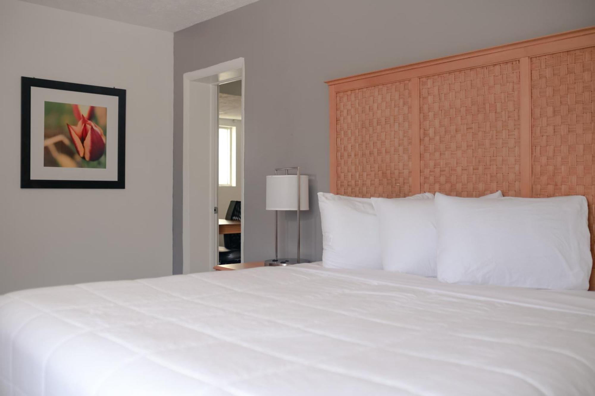 Southern Breeze Ocean Front Hotel شاطئ ميرتل المظهر الخارجي الصورة