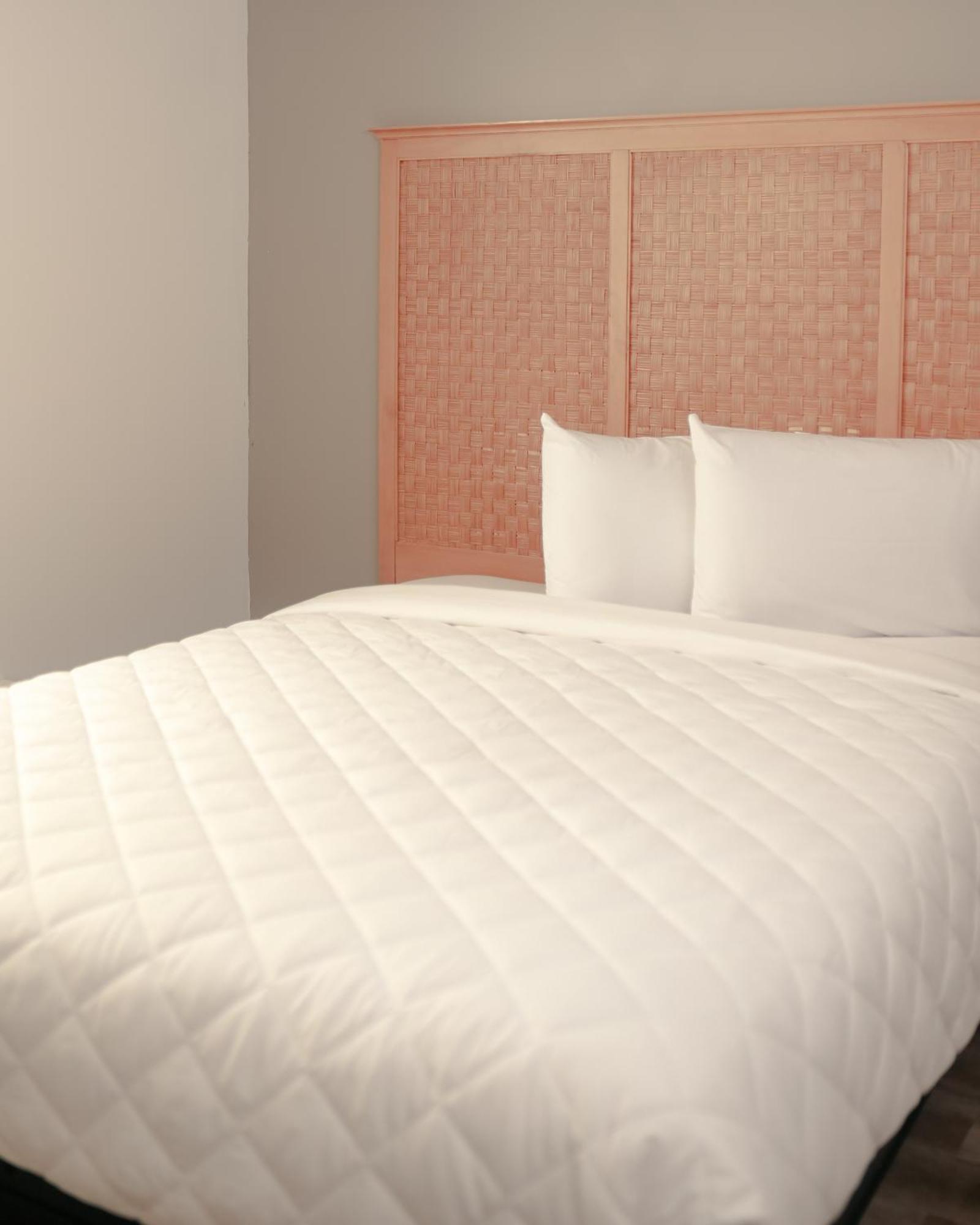 Southern Breeze Ocean Front Hotel شاطئ ميرتل المظهر الخارجي الصورة