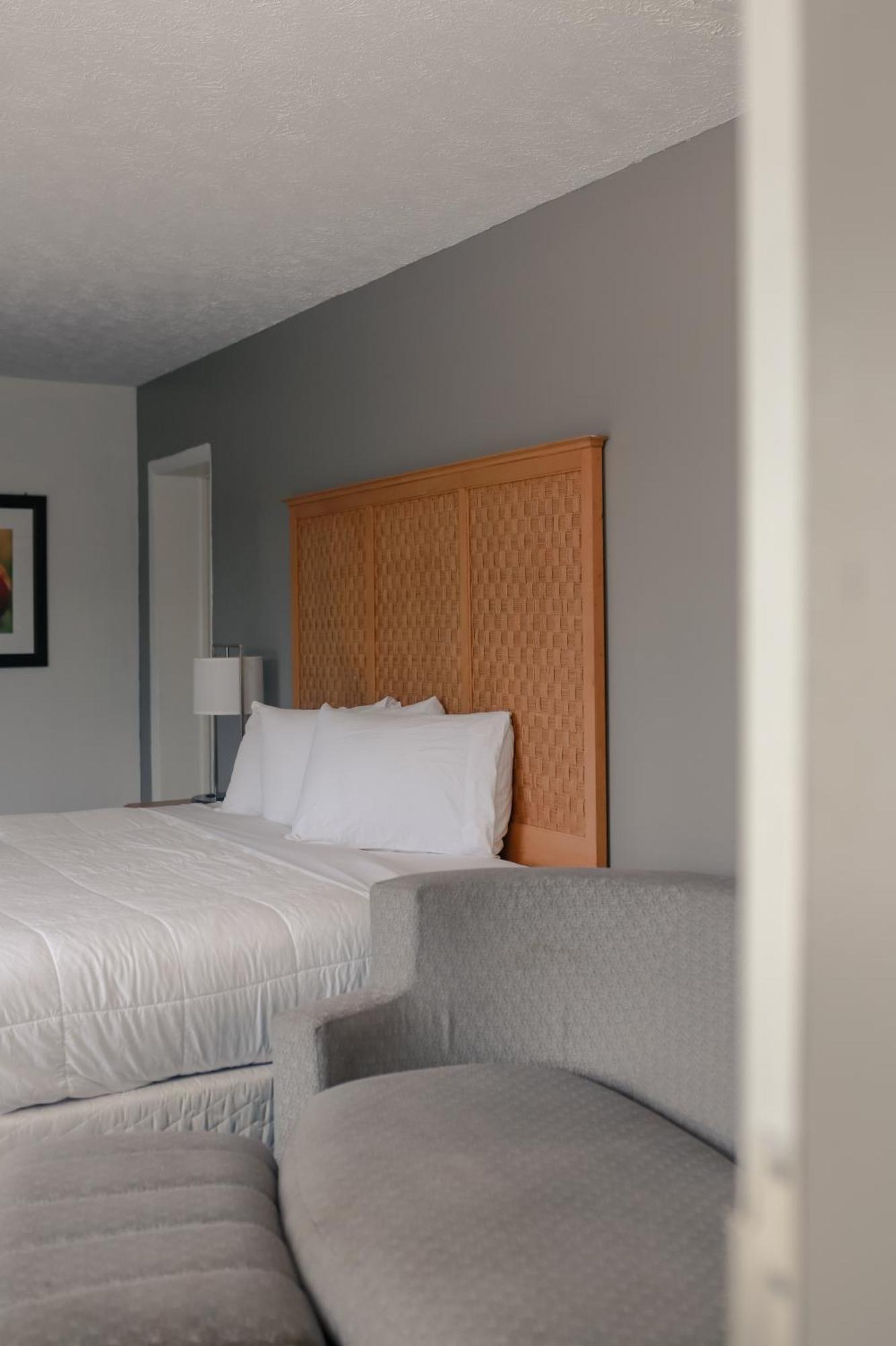 Southern Breeze Ocean Front Hotel شاطئ ميرتل المظهر الخارجي الصورة