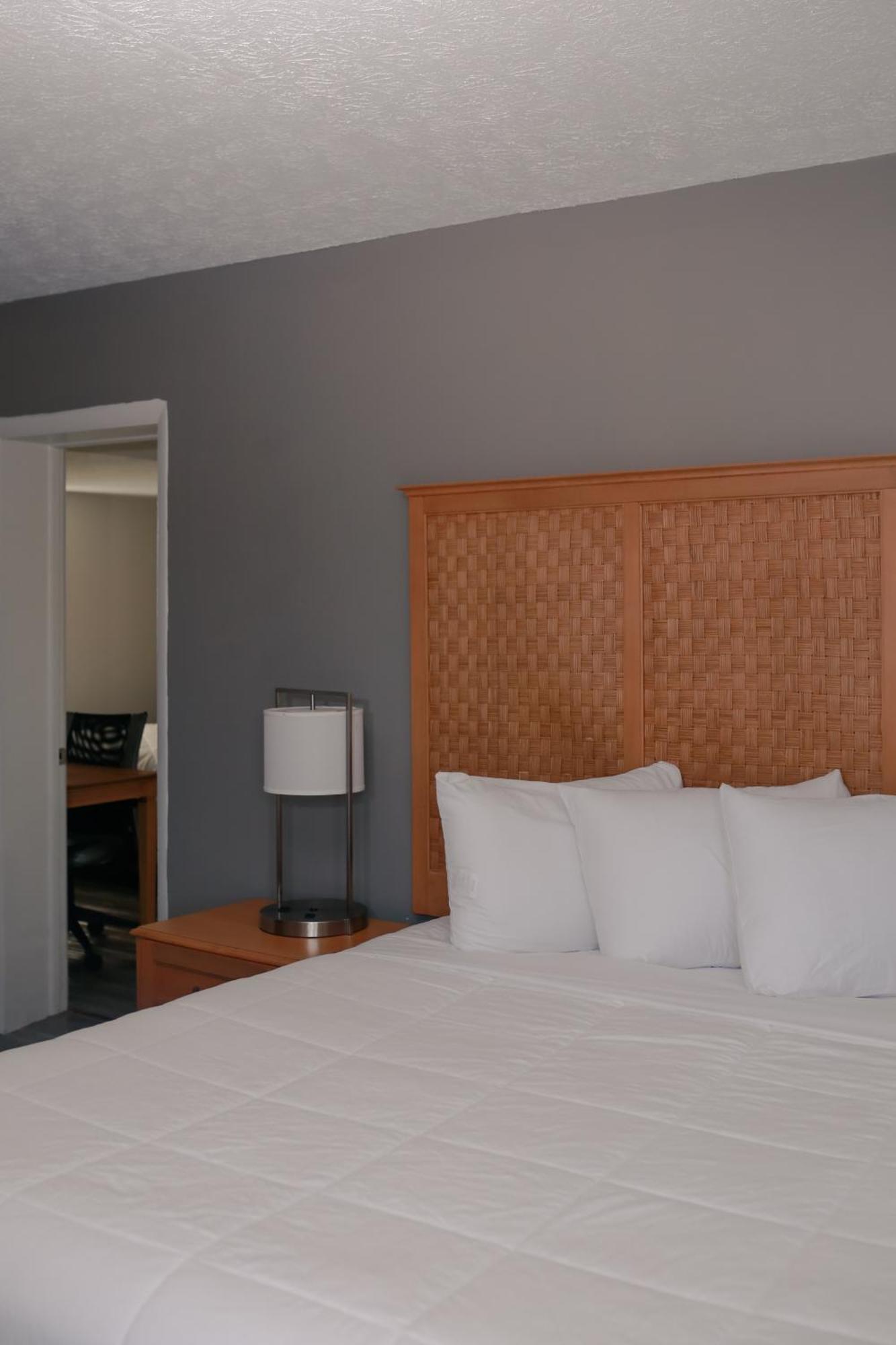 Southern Breeze Ocean Front Hotel شاطئ ميرتل المظهر الخارجي الصورة