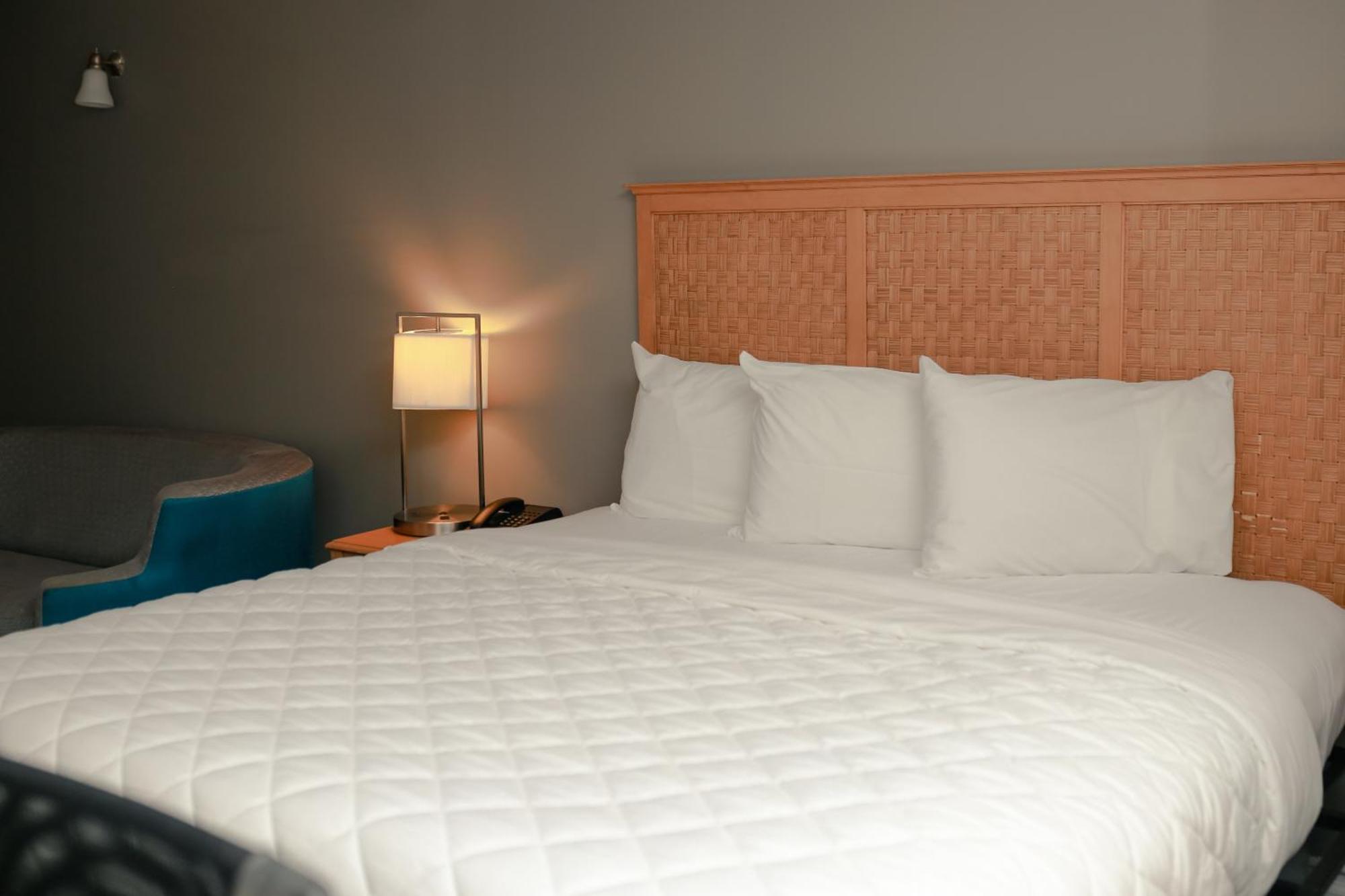 Southern Breeze Ocean Front Hotel شاطئ ميرتل المظهر الخارجي الصورة